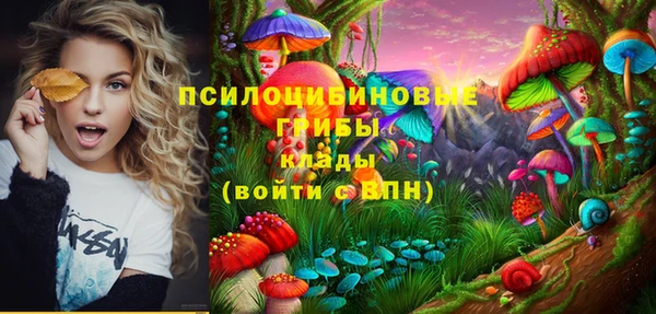 ПСИЛОЦИБИНОВЫЕ ГРИБЫ Волосово