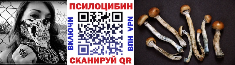Галлюциногенные грибы MAGIC MUSHROOMS  MEGA tor  Дорогобуж 